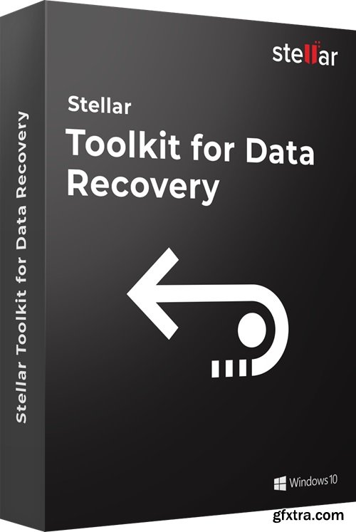 Stellar Toolkit for Data Recovery 11.0.0.6 Multilingual Portable