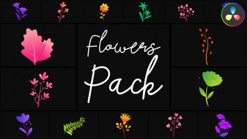 Flowers Pack for DaVinci Resolve - 50743702