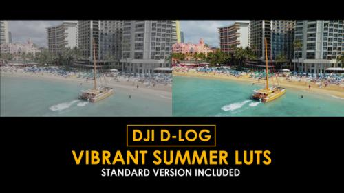 DJI D-Log Vibrant Summer LUTs - 50807838