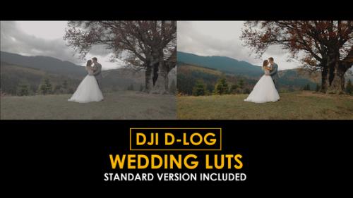 DJI D-Log Wedding LUTs - 50813006
