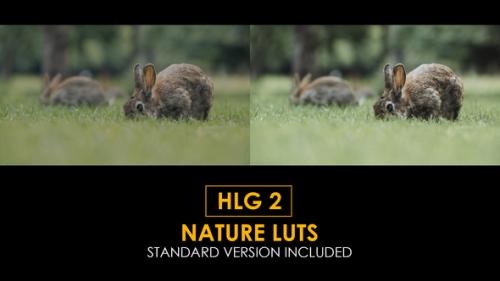 HLG2 Nature and Standard Luts - 50848877