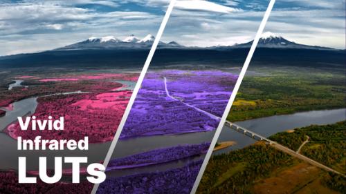 Aerochrome Infrared LUTs - 50860173