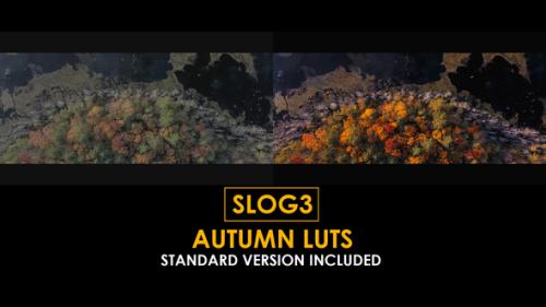 Slog3 Autumn and Standard LUTs - 50875818