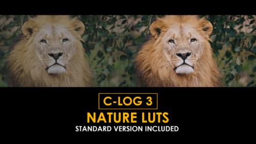Canon C-Log3 Nature and Standard Color LUTs - 50877293