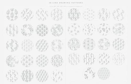 Line Drawing Floral Patterns ~ EPS, SVG, PAT, PNG