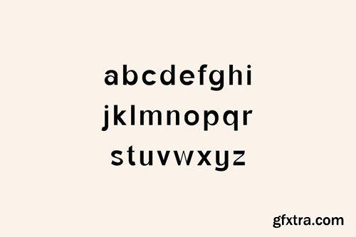 Monfishyer Sans Serif Family SGBELR5