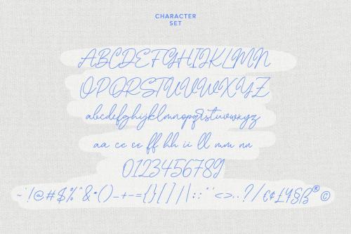 Rusticforms Signature Script Font