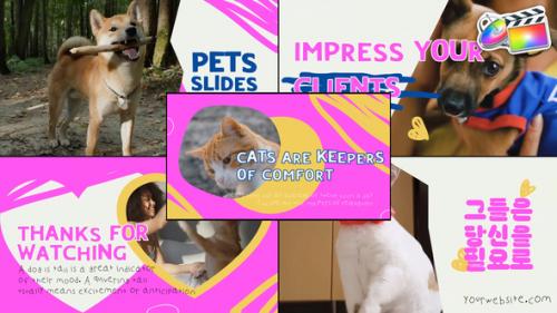 Slides Pets | FCPX - 50893873