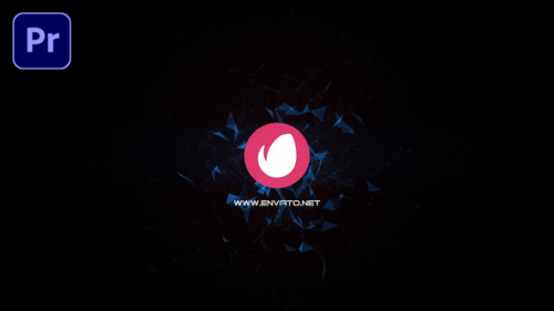 Plexarity Logo Reveal - 50906800