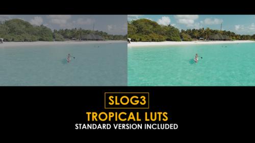 Slog3 Tropical and Standard LUTs - 50922042
