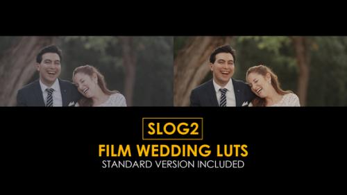 Slog2 Film Wedding and Standard Color Luts - 50930746