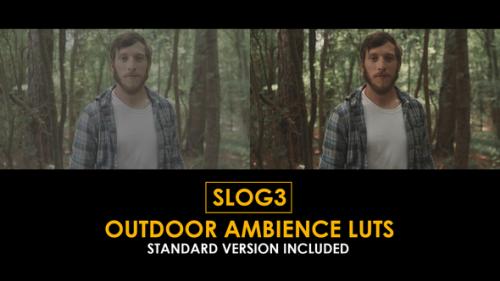 Slog3 Outdoor Ambience and Standard Color LUTs - 50931294