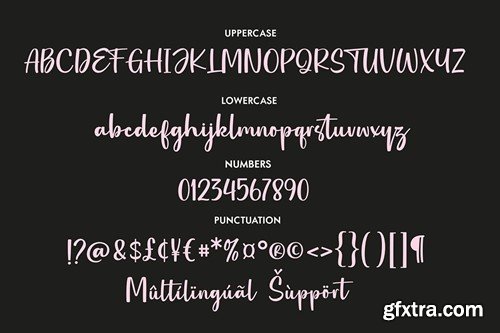 Holy Date - Elegant Handwritten Font 795JFRW