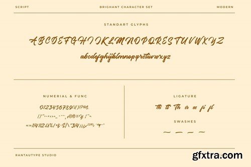 Brighant Business Script Font HXNMGS7 Brighant Business Script Font HXNMGS7