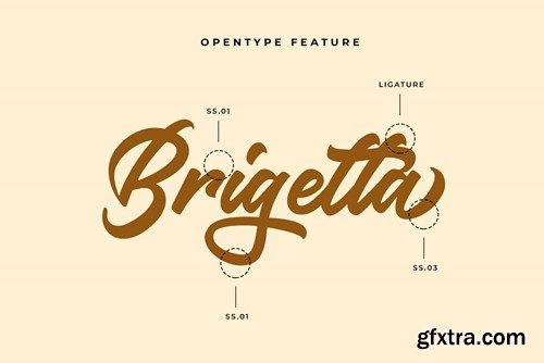 Brighant Business Script Font HXNMGS7 Brighant Business Script Font HXNMGS7