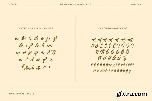 Brighant Business Script Font HXNMGS7 Brighant Business Script Font HXNMGS7