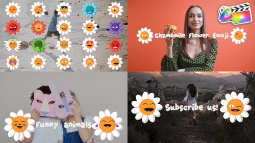 Chamomile flower emoji for FCPX - 50940521