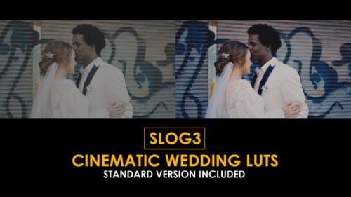 Slog3 Cinematic Wedding and Standard LUTs - 51040413