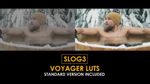 Slog3 Professional Filmmaker and Standard Color LUTs - 51062159