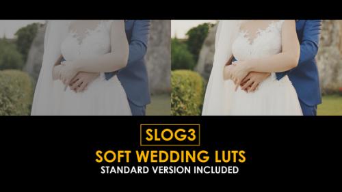 Slog3 Soft Wedding and Standard Color LUTs - 51062237