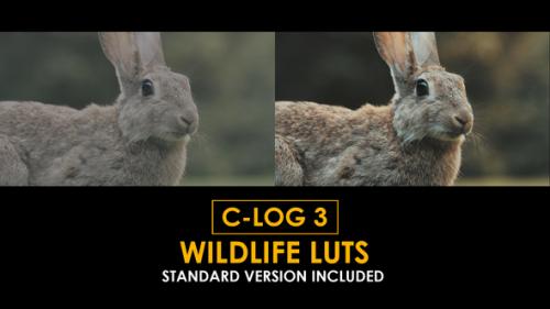 C-Log3 Wildlife and Standard LUTs - 50923536