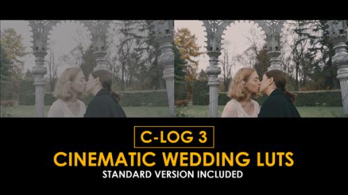 C-Log3 Cinematic Wedding and Standard Color LUTs - 50930806
