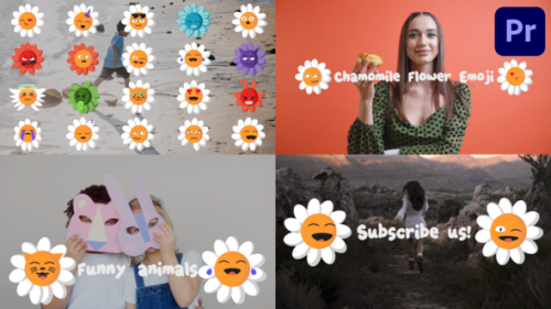 Chamomile flower emoji for Premiere Pro - 50950139