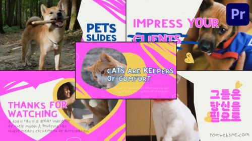 Slides Pets | Premiere Pro MOGRT - 50957696