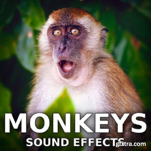 Sound Ideas Monkeys Sound Effects