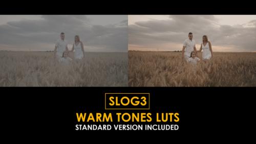 Slog3 Warm Tones and Standard LUTs - 51100847