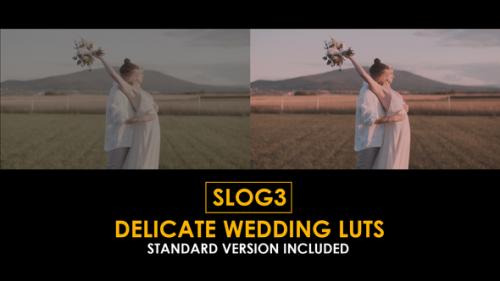Slog3 Delicate Wedding and Standard Color LUTs - 51104028