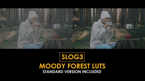 Slog3 Moody Forest and Standard Color LUTs - 51104177
