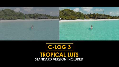 C-Log3 Tropical and Standard Color LUTs - 51127906