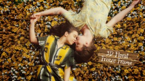 3D Floral Freeze Frame - 51008297