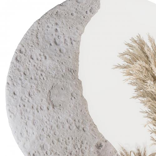 Decorative Set moon mirror with Dried Plant - Set 100