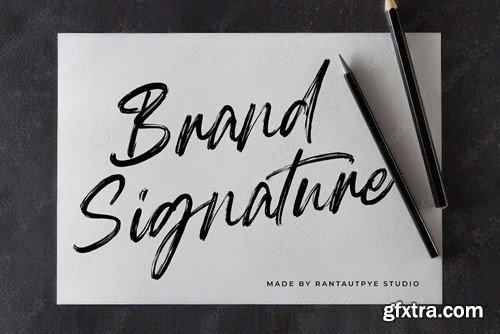 Raytune Signature Brush Typeface 75EELLD