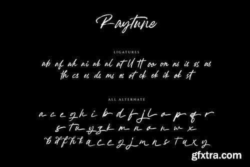 Raytune Signature Brush Typeface 75EELLD
