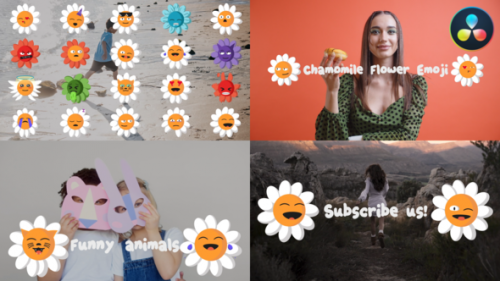 Chamomile flower emoji for DaVinci Resolve - 51208084