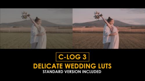 C-Log3 Delicate Wedding and Standard LUTs - 51222673