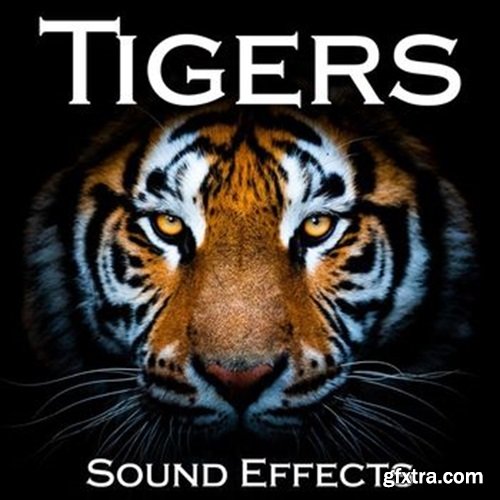 Sound Ideas Tigers Sound Effects