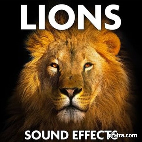 Sound Ideas Lions Sound Effects
