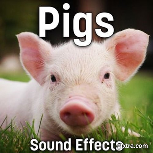 Sound Ideas Pigs Sound Effects