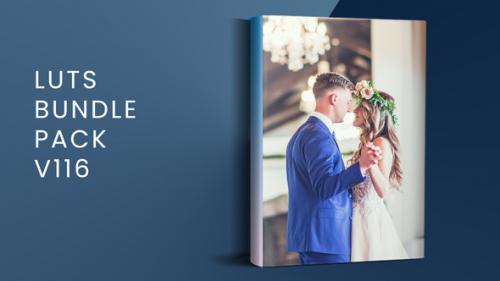 LUTs Bundle Pack V116 | FCPX - 51332558