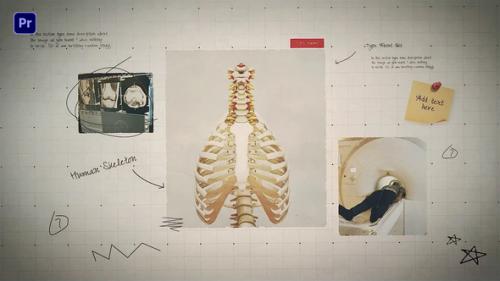 Science Project Presentation - 51341131