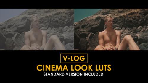 V-Log Cinema Look and Standard LUTs - 51362785