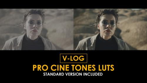 V-Log Pro Cine Tones and Standard LUTs - 51363042
