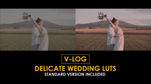 V-Log Delicate Wedding and Standard LUTs - 51363401