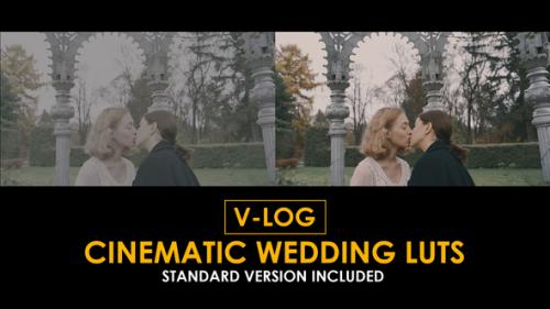 V-Log Cinematic Wedding and Standard LUTs - 51363719