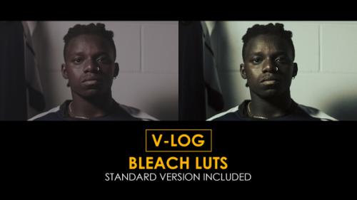V-Log Bleach and Standard Color LUTs - 51443757