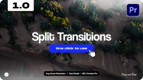 Split Transitions - 51459039